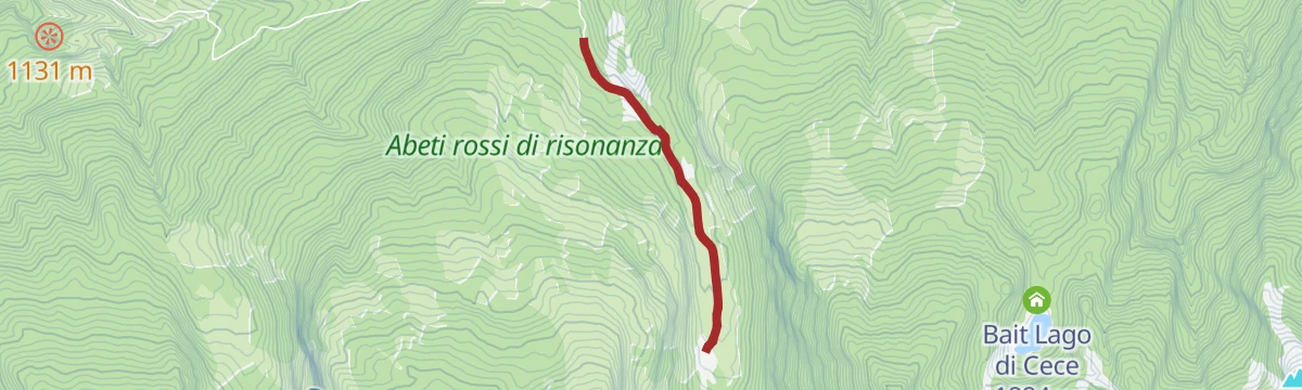 Route map: Malga Valmaggiore with stroller